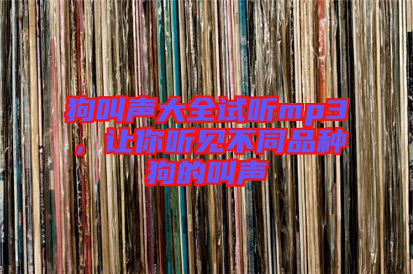 狗叫聲大全試聽mp3，讓你聽見不同品種狗的叫聲