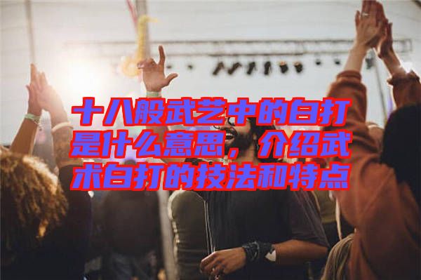 十八般武藝中的白打是什么意思，介紹武術(shù)白打的技法和特點