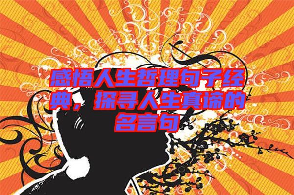 感悟人生哲理句子經典，探尋人生真諦的名言句