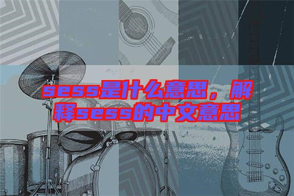 sess是什么意思，解釋sess的中文意思