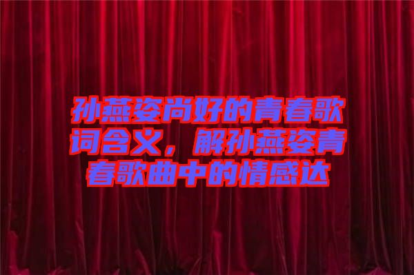 孫燕姿尚好的青春歌詞含義，解孫燕姿青春歌曲中的情感達