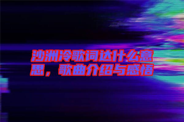沙洲冷歌詞達(dá)什么意思，歌曲介紹與感悟