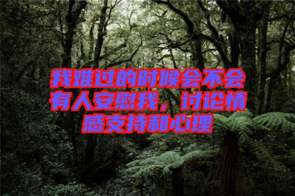 我難過(guò)的時(shí)候會(huì)不會(huì)有人安慰我，討論情感支持和心理