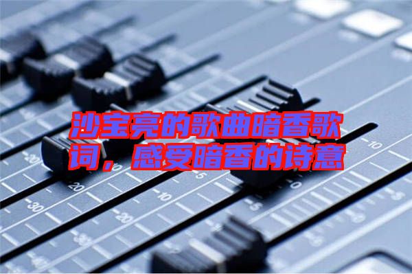 沙寶亮的歌曲暗香歌詞，感受暗香的詩意
