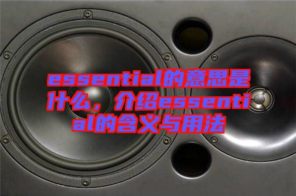 essential的意思是什么，介紹essential的含義與用法