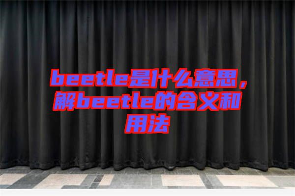 beetle是什么意思，解beetle的含義和用法