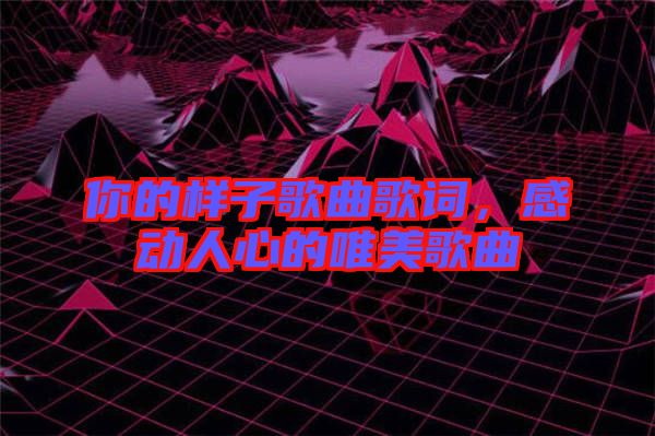 你的樣子歌曲歌詞，感動(dòng)人心的唯美歌曲