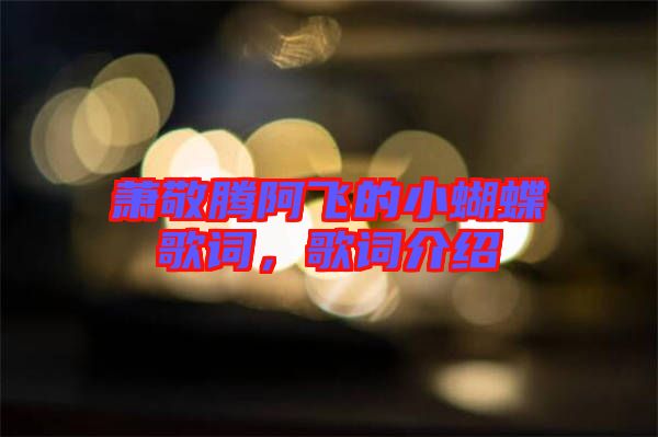蕭敬騰阿飛的小蝴蝶歌詞，歌詞介紹