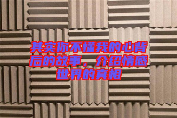 其實(shí)你不懂我的心背后的故事，介紹情感世界的真相
