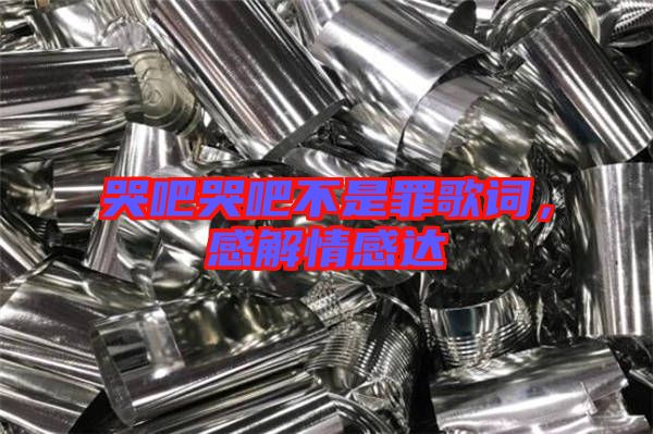 哭吧哭吧不是罪歌詞，感解情感達(dá)