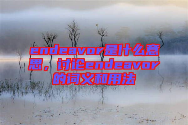 endeavor是什么意思，討論endeavor的詞義和用法