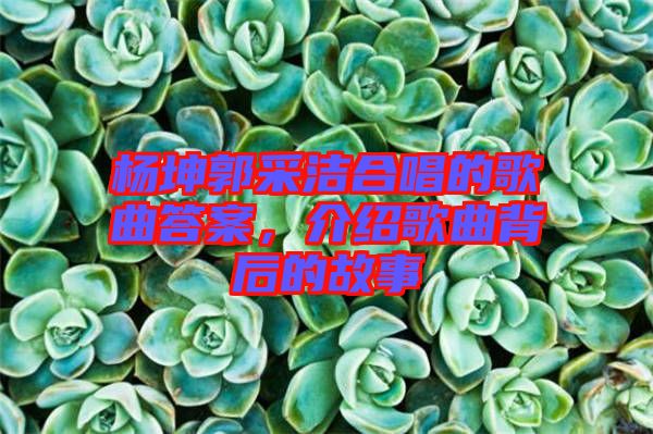 楊坤郭采潔合唱的歌曲答案，介紹歌曲背后的故事
