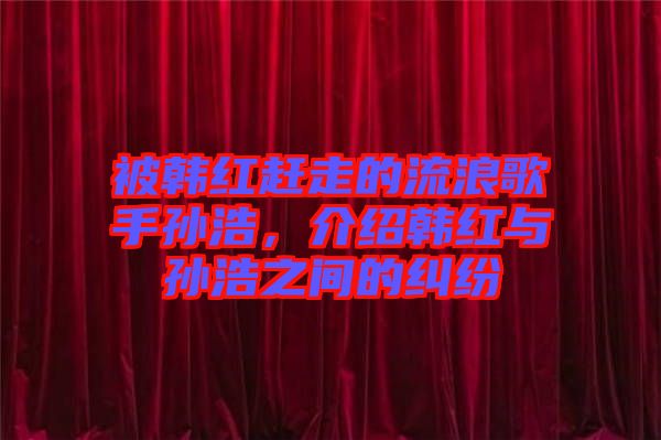 被韓紅趕走的流浪歌手孫浩，介紹韓紅與孫浩之間的糾紛