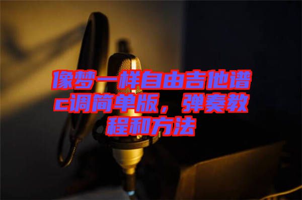 像夢一樣自由吉他譜c調簡單版，彈奏教程和方法
