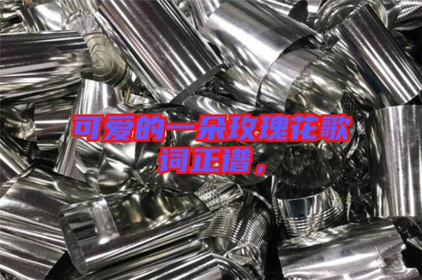 可愛(ài)的一朵玫瑰花歌詞正譜，