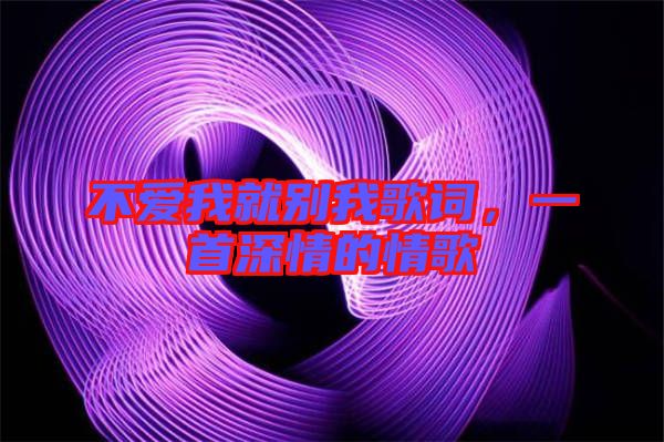 不愛我就別我歌詞，一首深情的情歌