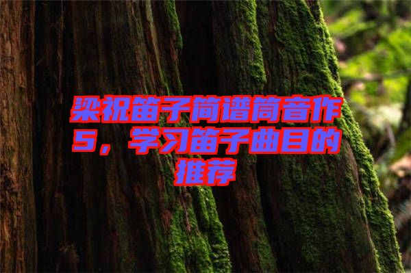 梁祝笛子簡(jiǎn)譜筒音作5，學(xué)習(xí)笛子曲目的推薦