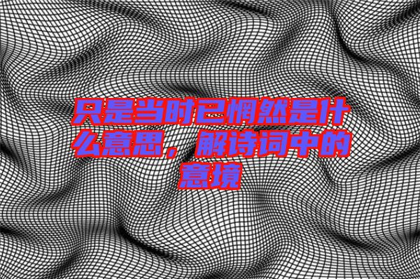 只是當時已惘然是什么意思，解詩詞中的意境