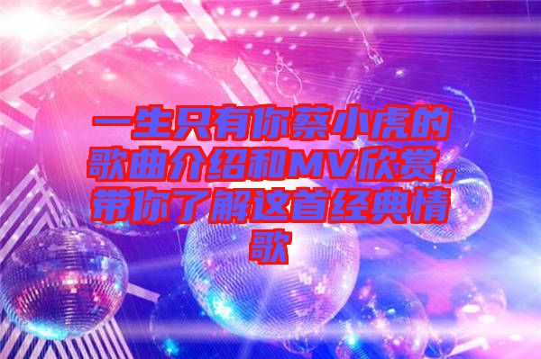 一生只有你蔡小虎的歌曲介紹和MV欣賞，帶你了解這首經(jīng)典情歌