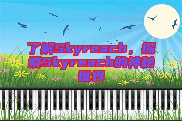 了解Skyreach，探索Skyreach的神秘世界