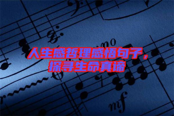 人生感哲理感悟句子，探尋生命真諦