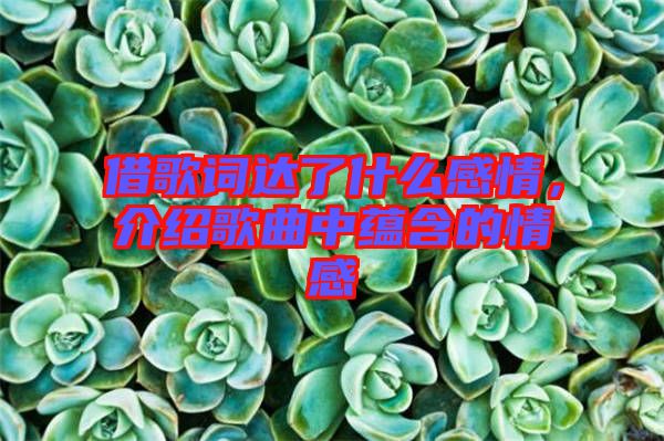 借歌詞達(dá)了什么感情，介紹歌曲中蘊(yùn)含的情感