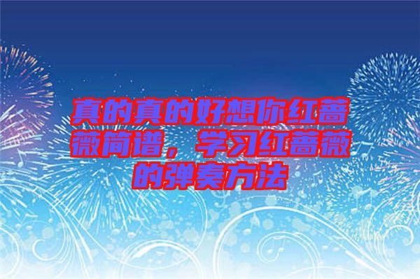 真的真的好想你紅薔薇簡(jiǎn)譜，學(xué)習(xí)紅薔薇的彈奏方法