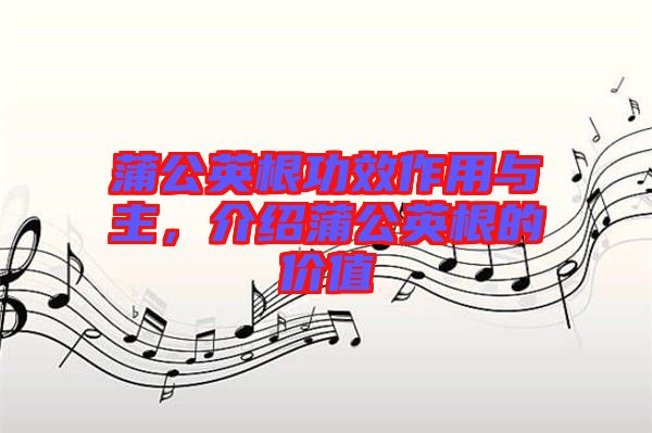 蒲公英根功效作用與主，介紹蒲公英根的價(jià)值