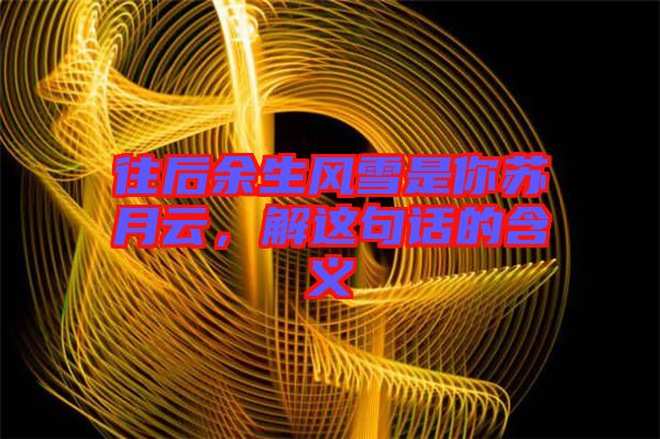 往后余生風(fēng)雪是你蘇月云，解這句話的含義