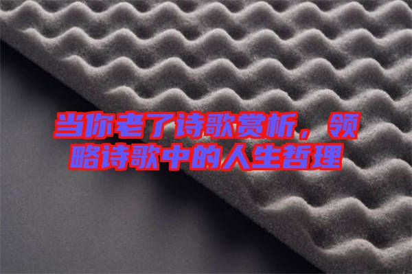 當(dāng)你老了詩歌賞析，領(lǐng)略詩歌中的人生哲理