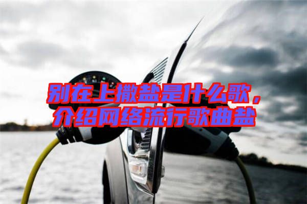 別在上撒鹽是什么歌，介紹網(wǎng)絡(luò)流行歌曲鹽