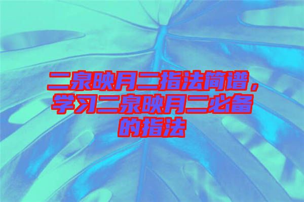 二泉映月二指法簡(jiǎn)譜，學(xué)習(xí)二泉映月二必備的指法