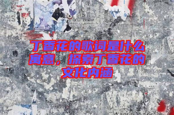 丁香花的歌詞是什么寓意，探索丁香花的文化內(nèi)涵