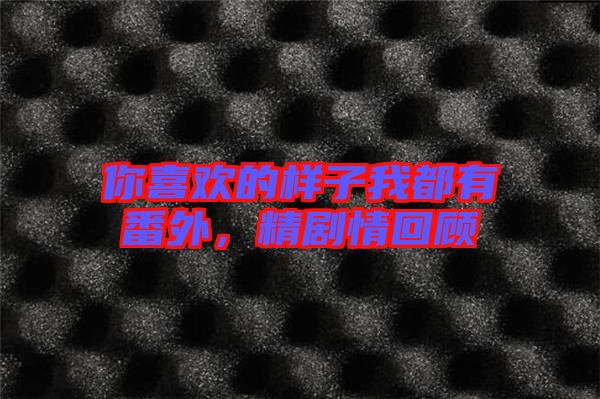 你喜歡的樣子我都有番外，精劇情回顧