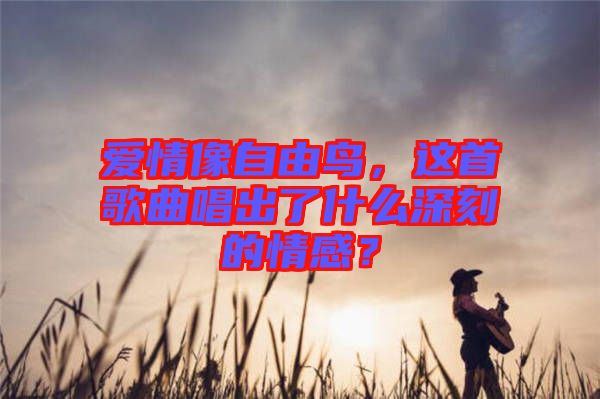 愛情像自由鳥，這首歌曲唱出了什么深刻的情感？