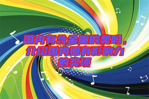 國內(nèi)有含金量的獎嗎，介紹國內(nèi)圈有影響力的獎項