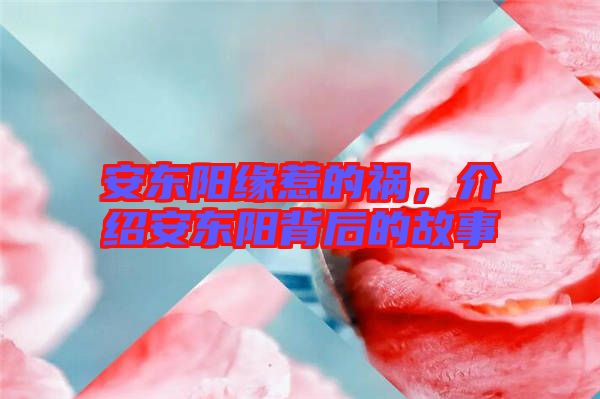 安東陽緣惹的禍，介紹安東陽背后的故事