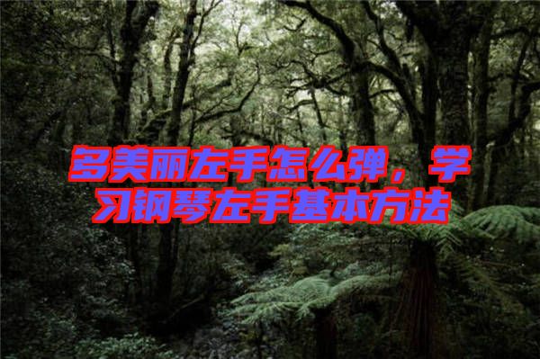 多美麗左手怎么彈，學(xué)習(xí)鋼琴左手基本方法