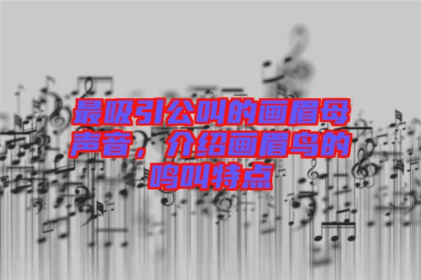 最吸引公叫的畫眉母聲音，介紹畫眉鳥的鳴叫特點(diǎn)