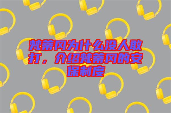 梵蒂岡為什么沒人敢打，介紹梵蒂岡的安保制度