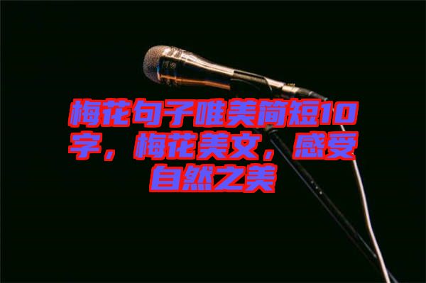 梅花句子唯美簡(jiǎn)短10字，梅花美文，感受自然之美