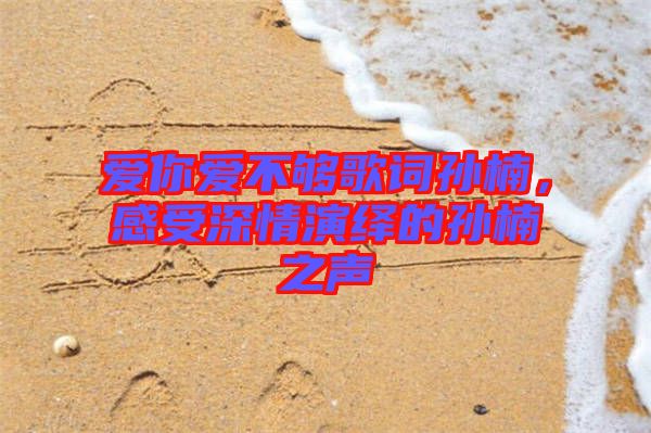 愛你愛不夠歌詞孫楠，感受深情演繹的孫楠之聲