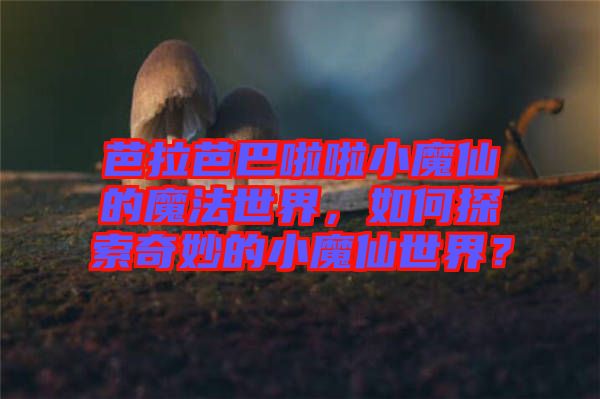 芭拉芭巴啦啦小魔仙的魔法世界，如何探索奇妙的小魔仙世界？