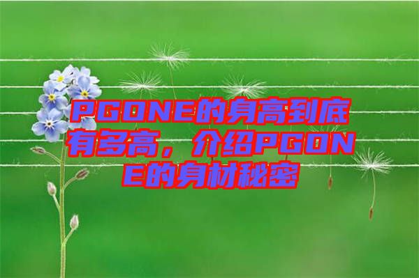 PGONE的身高到底有多高，介紹PGONE的身材秘密