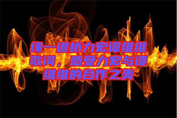 緣一道橋力宏譚維維歌詞，感受力宏與譚維維的合作之美