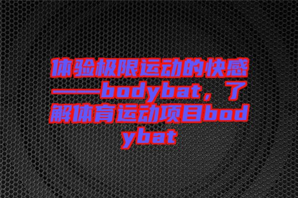 體驗(yàn)極限運(yùn)動(dòng)的快感——bodybat，了解體育運(yùn)動(dòng)項(xiàng)目bodybat