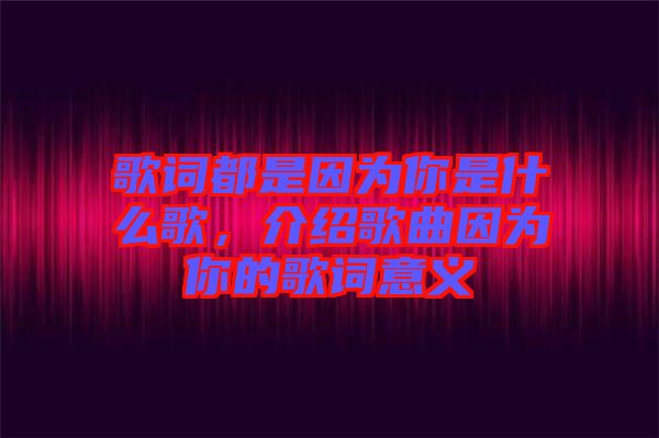 歌詞都是因為你是什么歌，介紹歌曲因為你的歌詞意義
