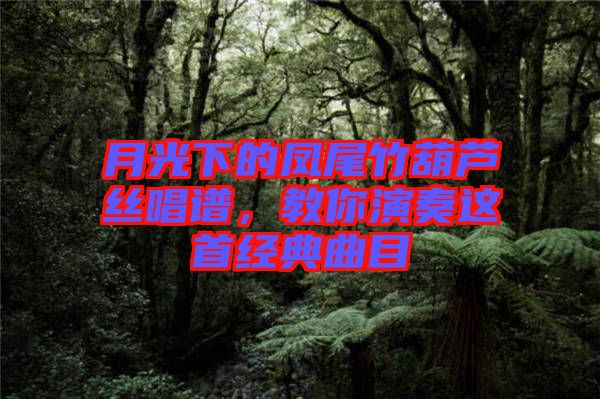 月光下的鳳尾竹葫蘆絲唱譜，教你演奏這首經(jīng)典曲目