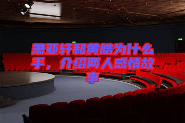 蕭亞軒和黃皓為什么手，介紹兩人感情故事
