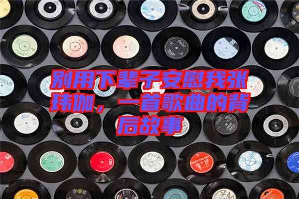 別用下輩子安慰我張瑋伽，一首歌曲的背后故事